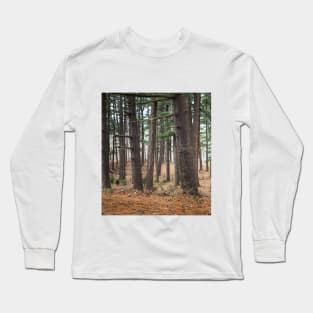 A walk in the woods Long Sleeve T-Shirt